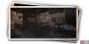 album_photo_cat_06-1d3ea60d.png