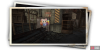 album_photo_cat_07-e060dd64.png