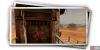 album_photo_fish_02-ca341e62.png