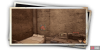 album_photo_fish_03-b7101a26.png