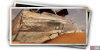 album_photo_fish_05-ef08f59b.png