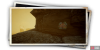 album_photo_fish_06-e93c08c5.png