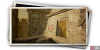 album_photo_fish_07-d7e18194.png