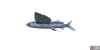 fish_flyingfish-952657c3.png