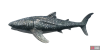 fish_whaleshark-176b5dd7.png