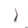 ch_m_na_28-0e3777af.png