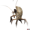 ch_m_na_08-e5fd151c.png