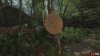 militia - sword & shield-7346c3bb.jpg