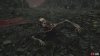 creepy crawler-836613cb.jpg