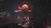 feathered star butterfly plant-3ed9734e.jpg