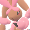 pm0428_51_00_00_1-b6b58533.png