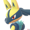 pm0448_00_00_00_1-30fc87cf.png