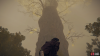 Minor Erdtree Limgrave.png