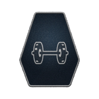 Icon for <span>Weight Lifting - Rank 1</span>