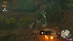 ranger_constructor_great_sky_island_map_zelda_totk-6149c195.jpg