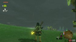 steel_lizal_shield_1_necluda_surface_map_zelda_totk-7b37499f.jpg