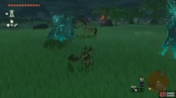horse_spotting_spot_side_quest_zelda_tears_of_the_kingdom-86e7e179.jpg