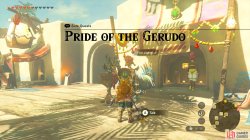 totk_pride_gerudo_1-65ce57fd.jpg