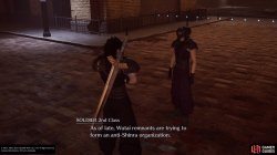 walnut_wood_flower_wagon_building_chapter_7_crisis_core_final_fantasy_vii_reunion.jpg