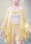 t_showpic_clothes_s0220c_lv2-602f0f8f.png