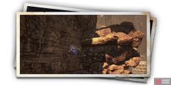 album_photo_cat_05-04486670.png