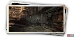 album_photo_cat_08-7a44487e.png