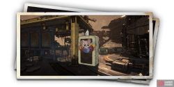 album_photo_cat_10-5f5bd4f9.png