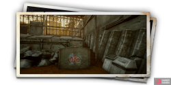 album_photo_fish_10-ea54864f.png
