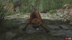 monster dog-48e4aaa5.jpg
