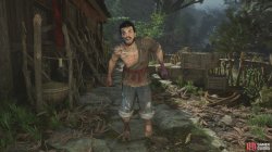 feathered militia-f7724e94.jpg