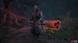 feathered officer - cannon-7bb46a20.jpg