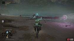 Spirit Jellyfish Fight.jpg