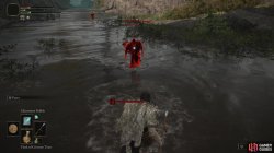 Bloody Finger Nerijus Fight 2.jpg