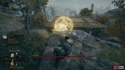 ER Tree Sentinel Light Shield Attack.jpg