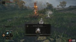 ER Ash of War Determination Icon.jpg