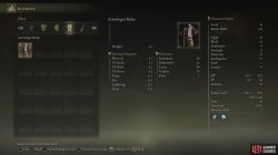 Astrologer Robe.jpg