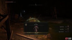 Sage_s Set Pickup.jpg