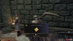 Prosthesis Wearer Heirloom.jpg