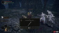 Demi Human Queen Staff Pickup ER.jpg