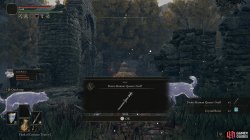Demi_Human Queens Staff.jpg