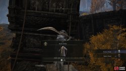 Rulers Robe.jpg