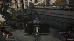 Upper_Class Robe.jpg