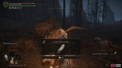 Leyndell Soldier Gauntlets.jpg