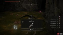 Mushroom Arms.jpg