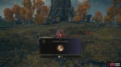Crimsonburst Crystal Tear.jpg