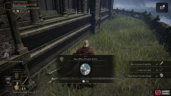 Blue_White Wooden Shield obtained.jpg