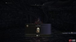 Visage Shield.jpg