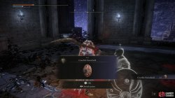 Crucible Hornshield.jpg