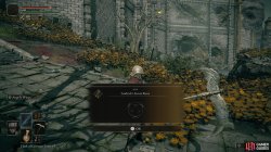 Godricks Great Rune Obtained.jpg