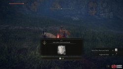 Ash of War Barricade Shield.jpg